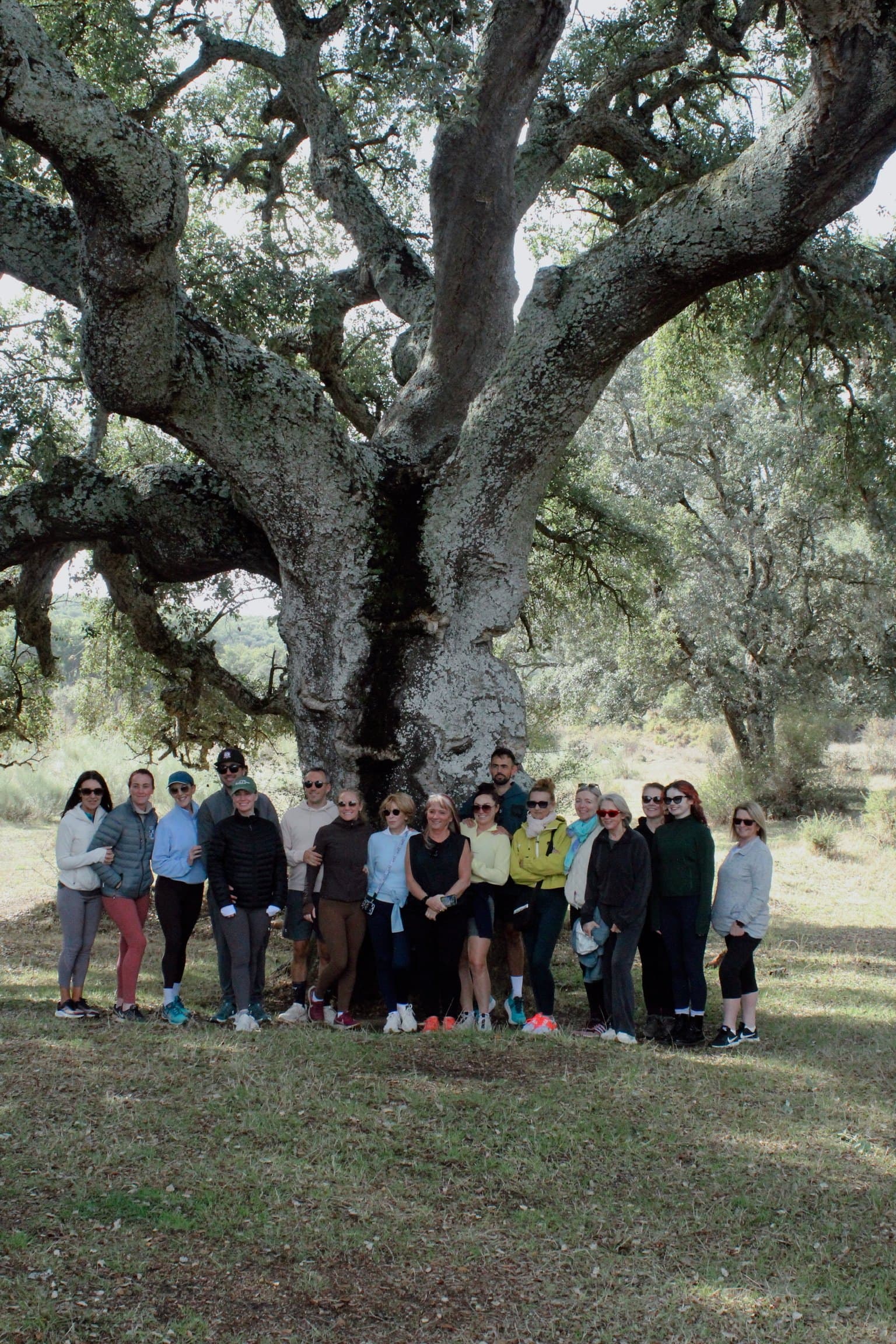 A retreat group gathered beneath an ancient oak tree