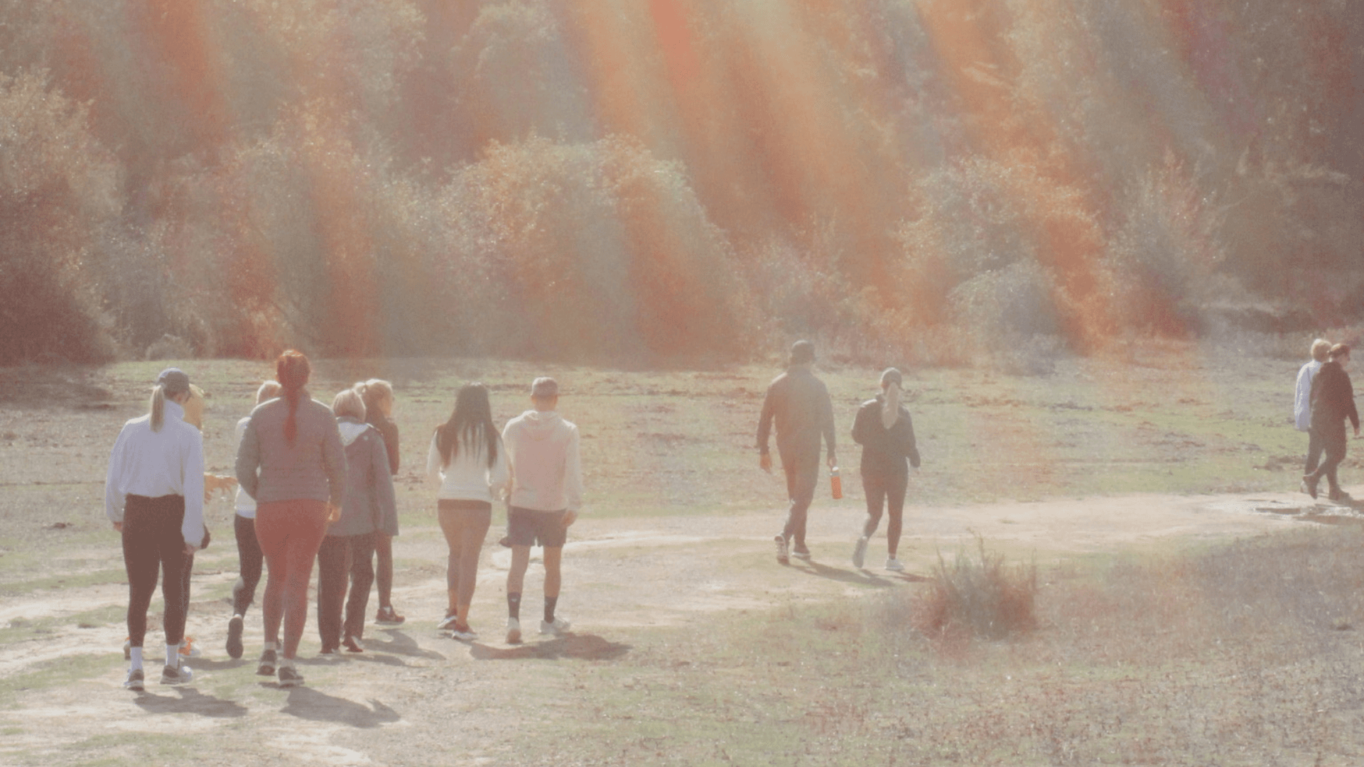 A retreat group gathered beneath an ancient oak tree