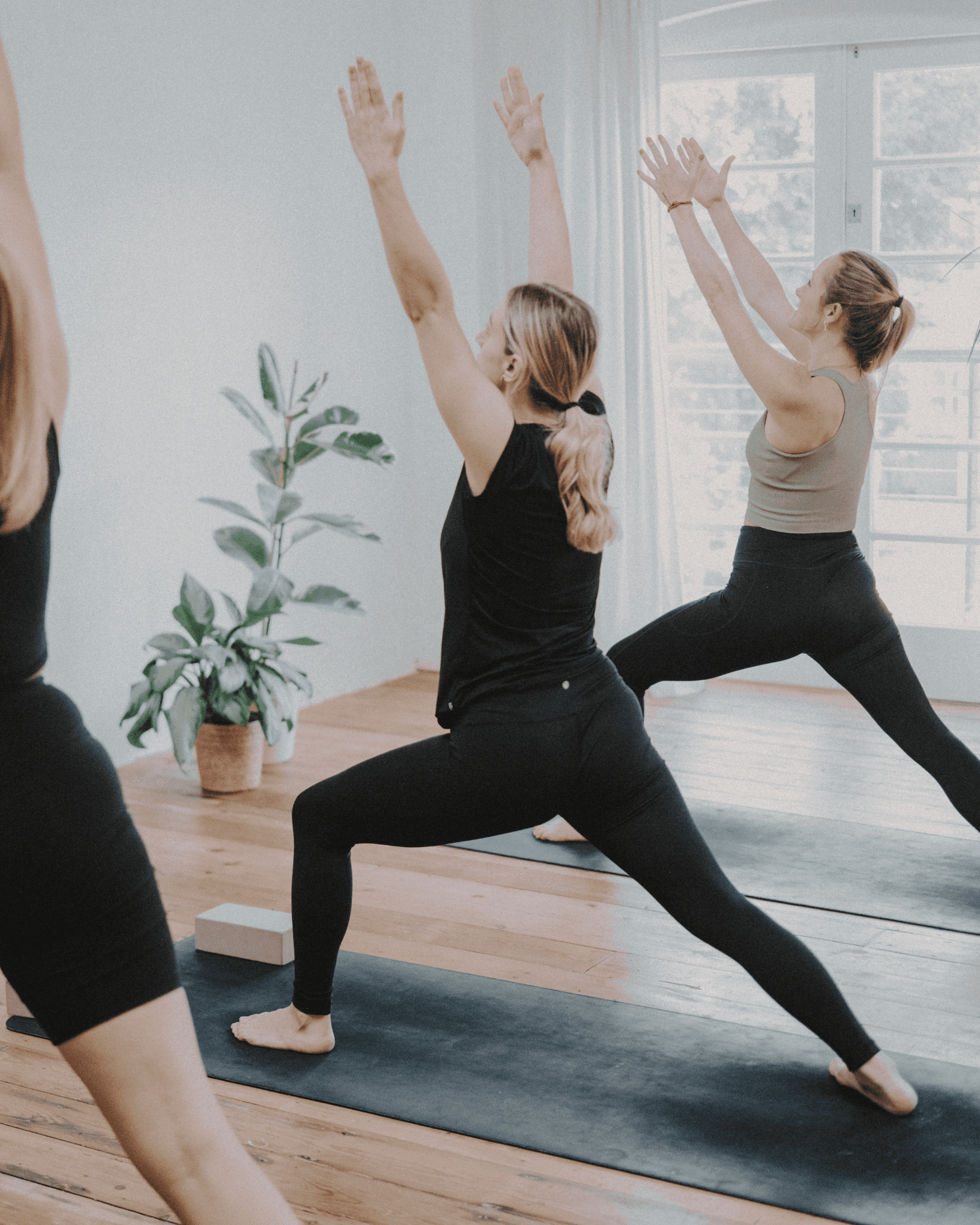 A studio full of practitioners with arms raised