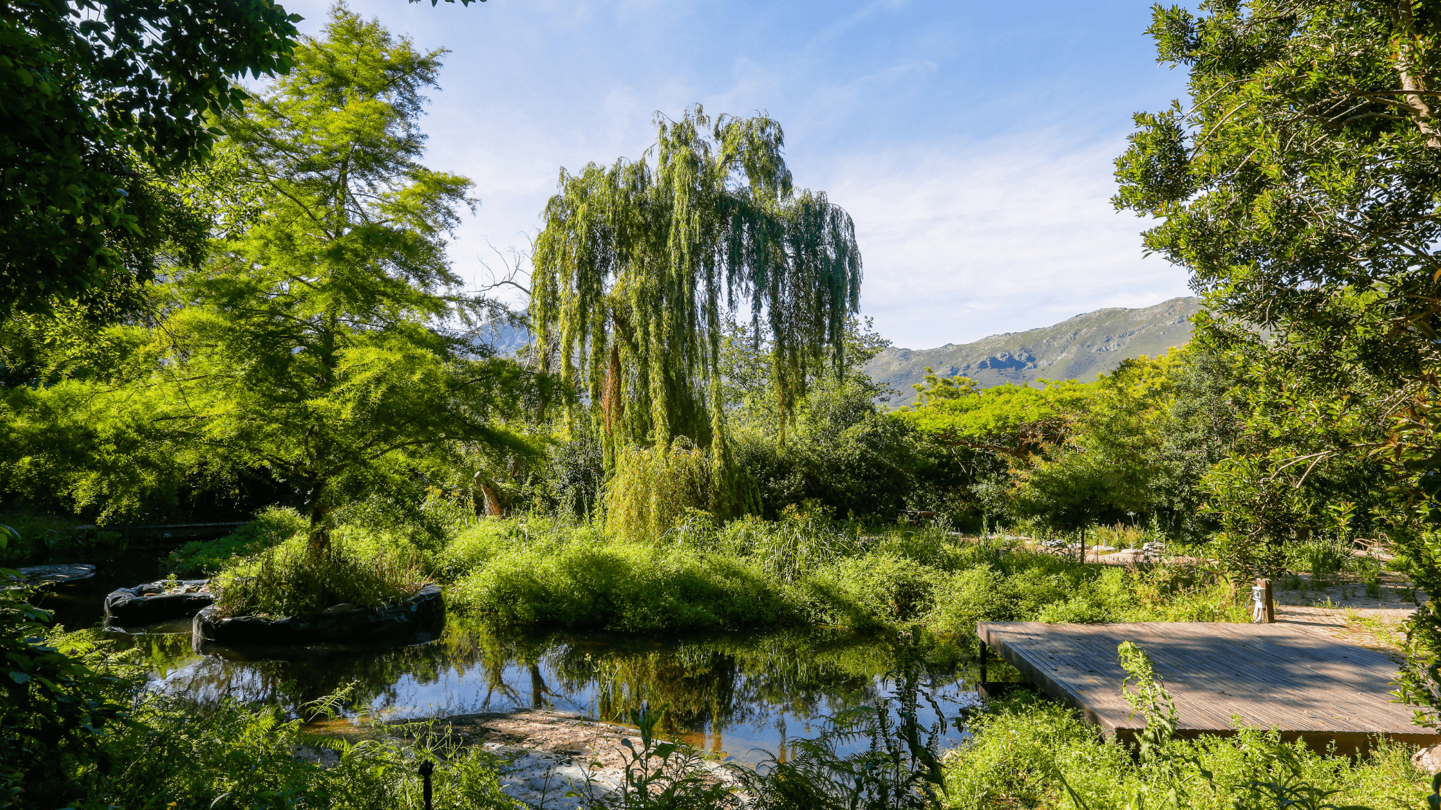 Hemelberg garden and views